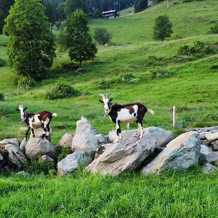 Alojamento de Turismo Rural Hof Zur Linde