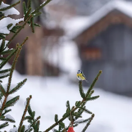 Hof Zur Linde キッツビュール