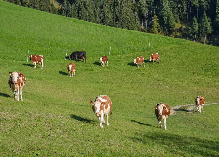 Hof Zur Linde ファームステイ