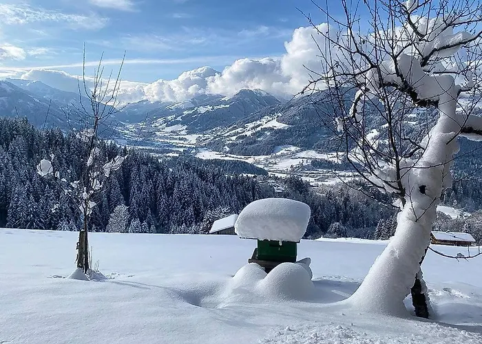 Alloggio per agriturismo Hof Zur Linde Kitzbühel