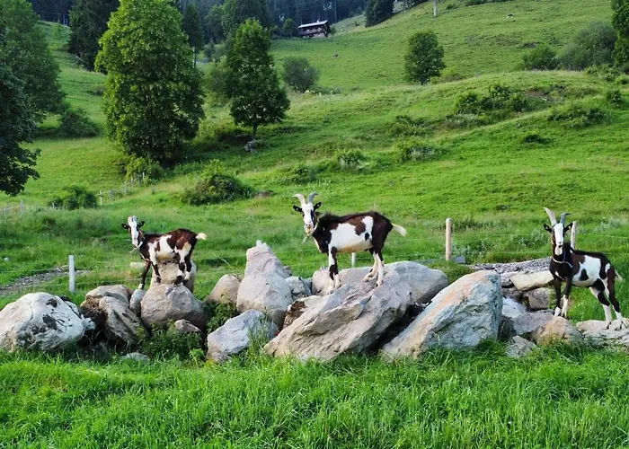 Alloggio per agriturismo Hof Zur Linde