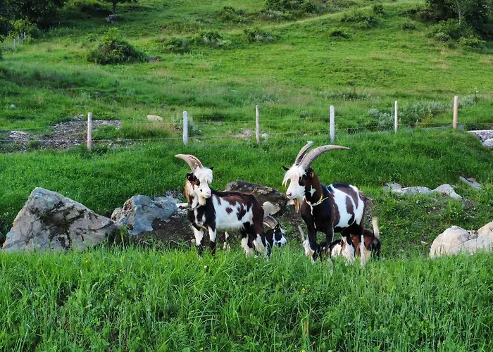 Hof Zur Linde * Kitzbühel